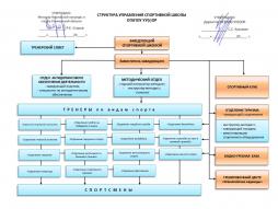 Структура управления спортивной школы ОГБПОУ УУ(т)ОР